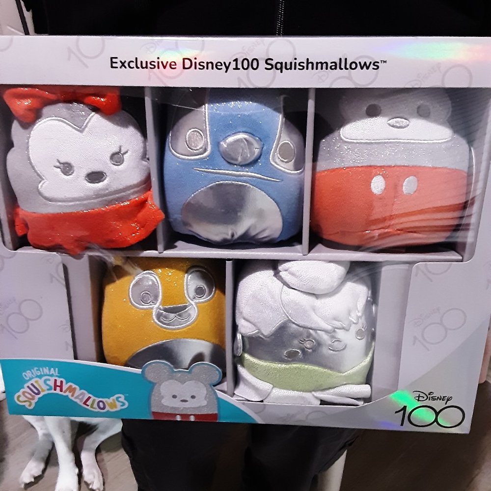 Disney squishmallows set